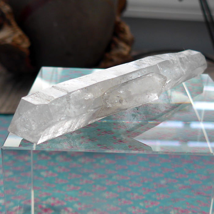 Fat Tibetan Quartz DT Wand with Huge Bridge Crystal