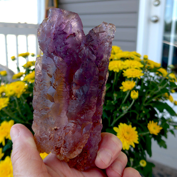 Large Multi Terminated Twin Rainbow Ametrine Wand