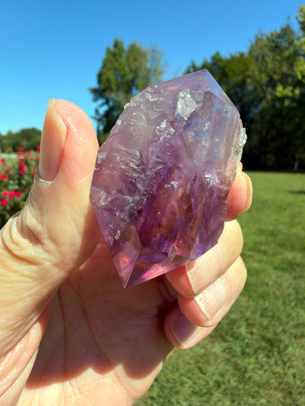 Semi Polished Double Terminated Rainbow Ametrine Nugget