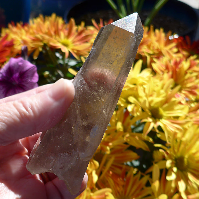 Smoky Citrine Lemurian with Key Crystal and Anatase