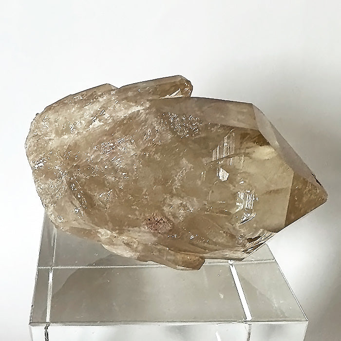 Golden Namibian Citrine Elestial Rainbow Bouquet
