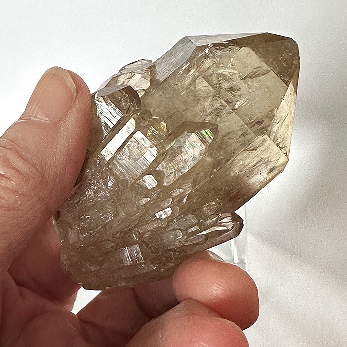 Golden Namibian Citrine Elestial Rainbow Bouquet