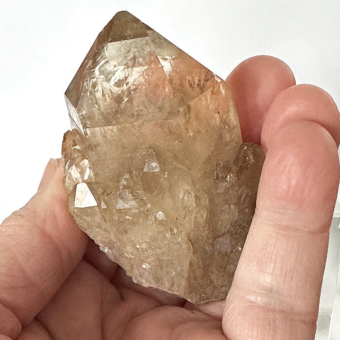 Golden Namibian Citrine Elestial Rainbow Bouquet