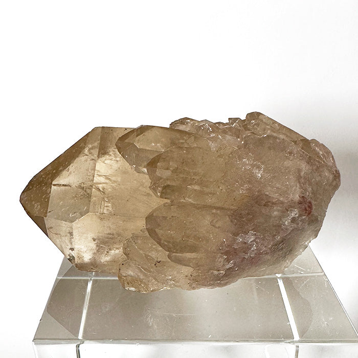 Golden Namibian Citrine Elestial Rainbow Bouquet