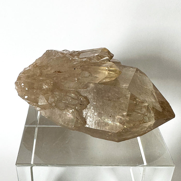 Golden Namibian Citrine Elestial Rainbow Bouquet