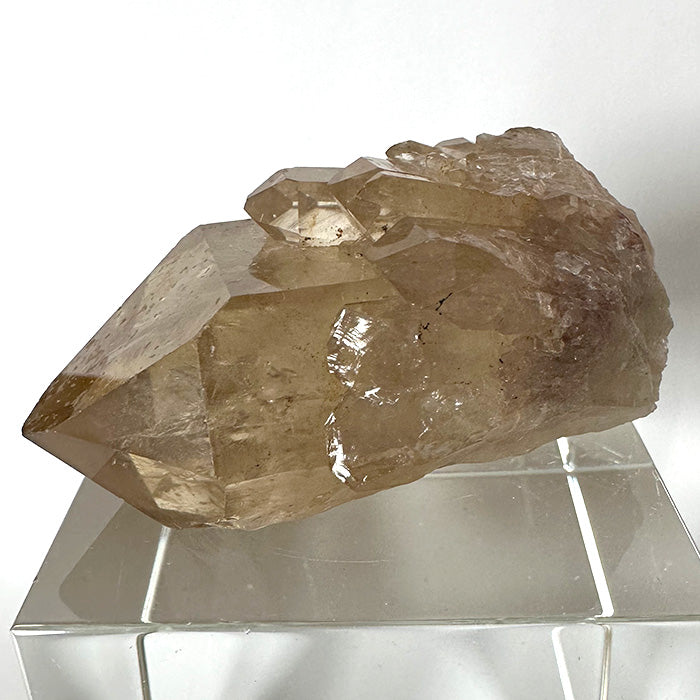 Golden Namibian Citrine Elestial Rainbow Bouquet