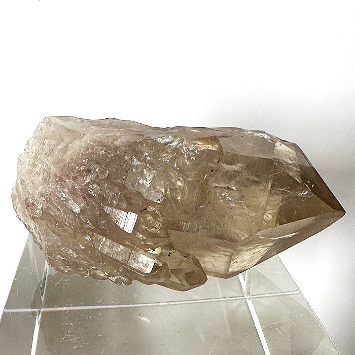 Golden Namibian Citrine Elestial Rainbow Bouquet