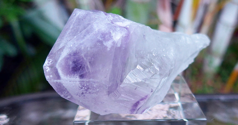 Amethyst Phantom Scepter