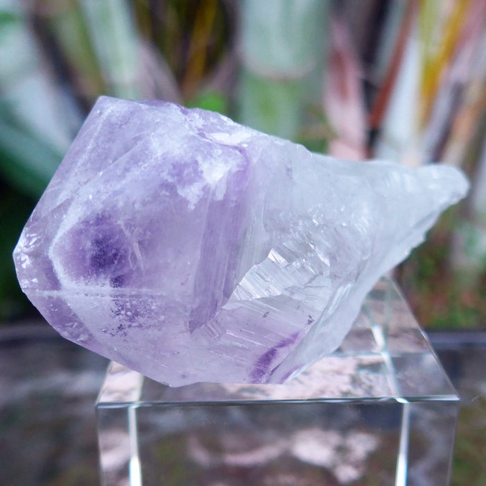 Amethyst Phantom Scepter