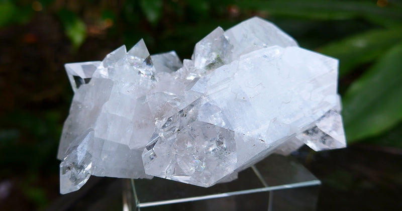 Gem Apophyllite Diamond Face Druzy Cluster