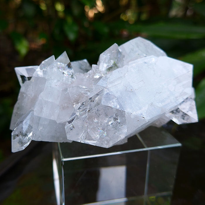 Gem Apophyllite Diamond Face Druzy Cluster