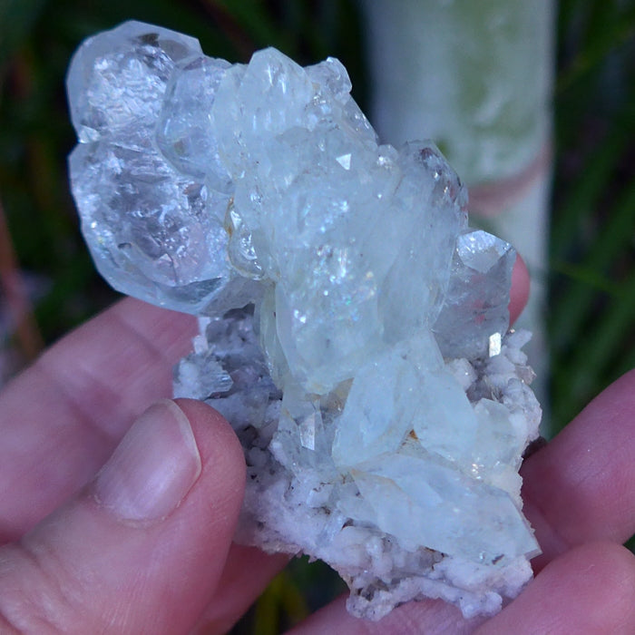 Aquamarine and Muscovite Cluster on Matrix