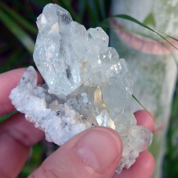 Aquamarine and Muscovite Cluster on Matrix