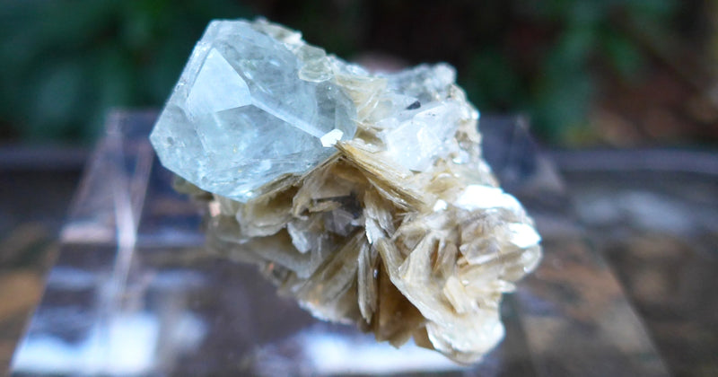 Gemmy Aquamarine and Muscovite Cluster on Matrix