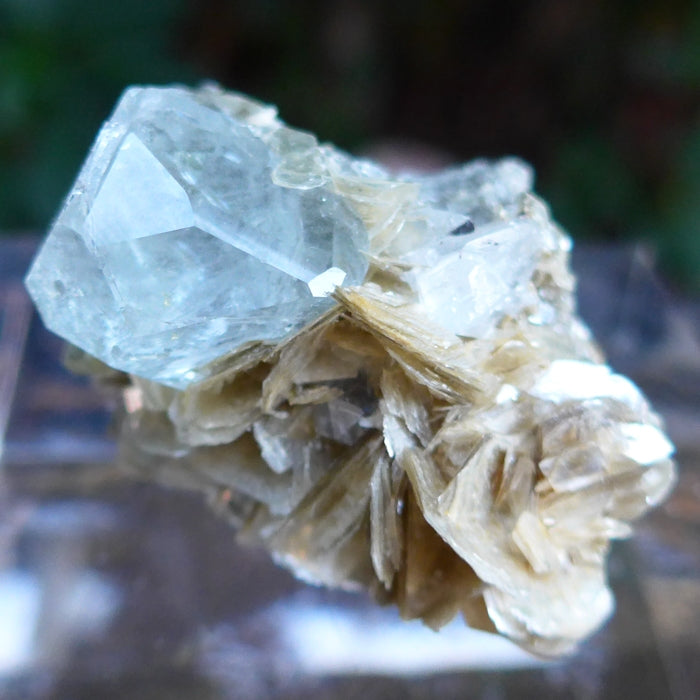 Gemmy Aquamarine and Muscovite Cluster on Matrix