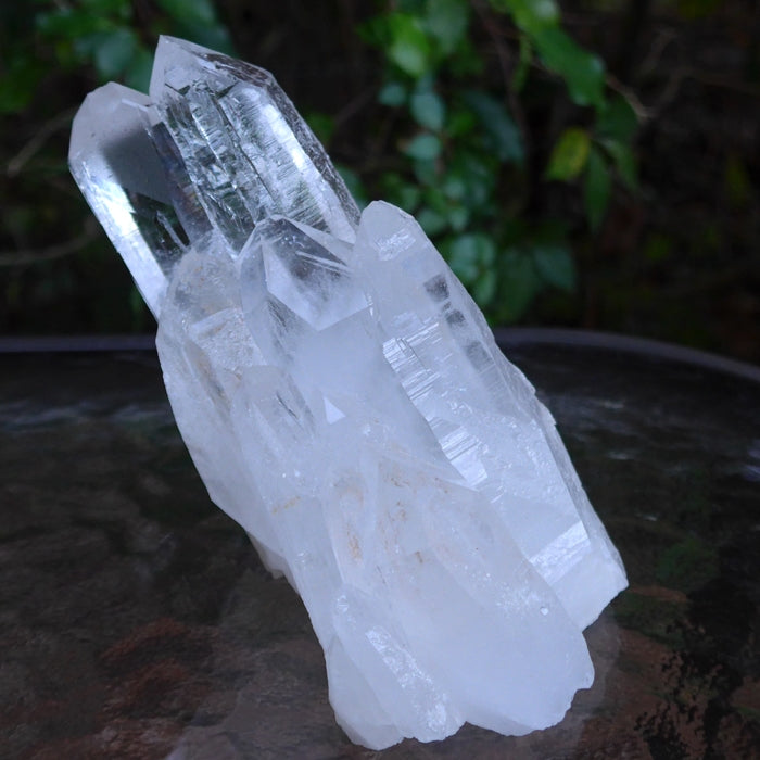 HUGE DOUBLE PRICE DROP: AAA Diamantina Etched Quartz Cluster