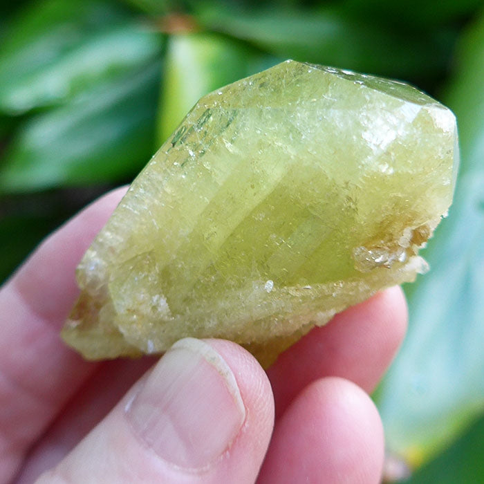 DEEP DISCOUNT: Large Brazilianite Elestial Gemstone