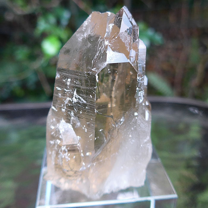 AAA Grade Bright Citrine Elestial Altar