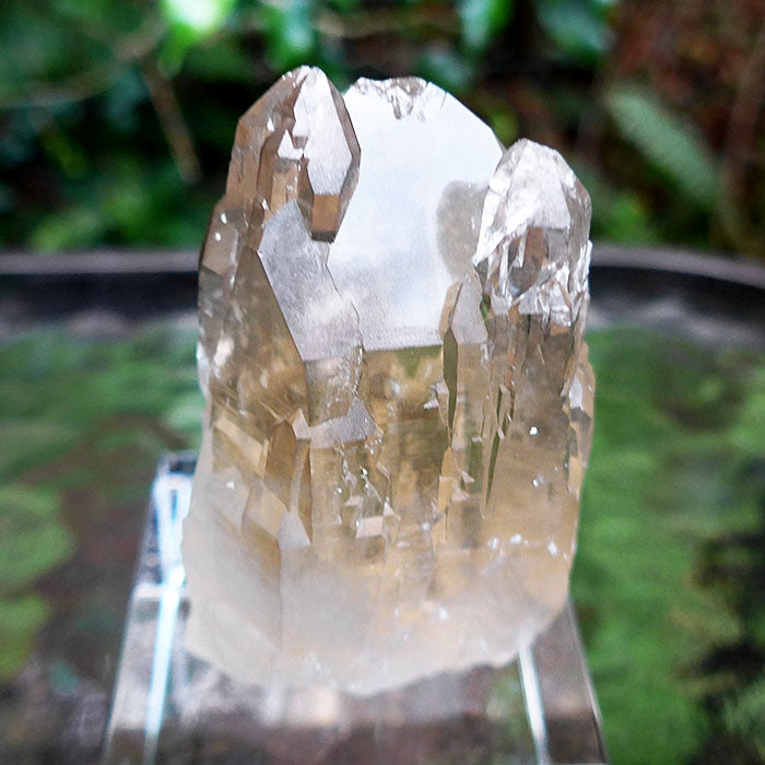 AAA Grade Bright Citrine Elestial Altar
