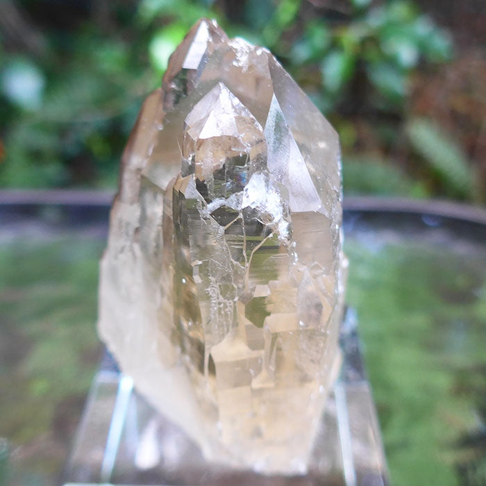 AAA Grade Bright Citrine Elestial Altar
