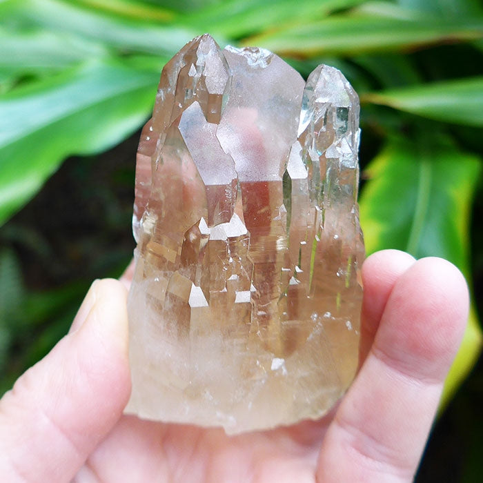 AAA Grade Bright Citrine Elestial Altar