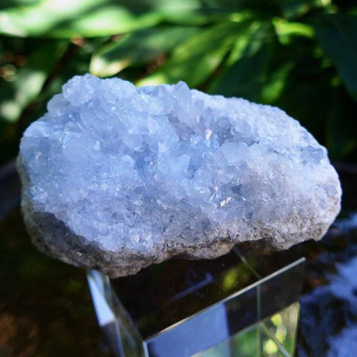 Blue Celestite with Big Points