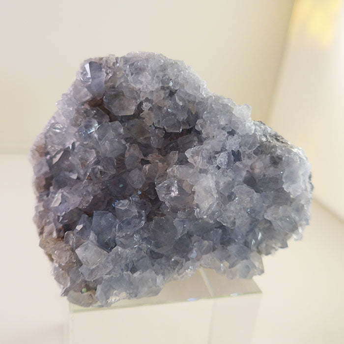 Glittering Druzy Celestite Cluster