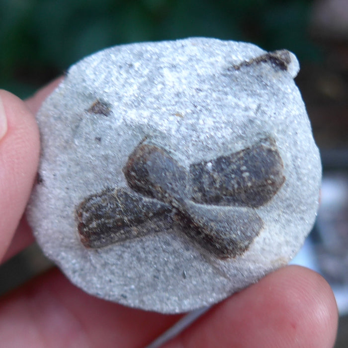 Small Double St. Andrew's Staurolite Cross