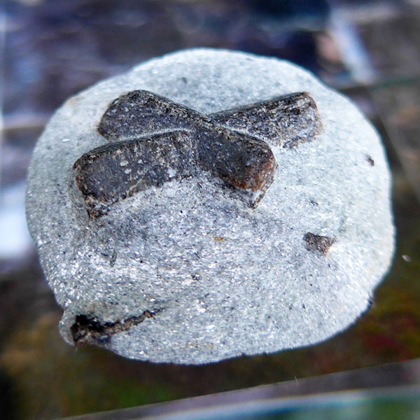 Small Double St. Andrew's Staurolite Cross