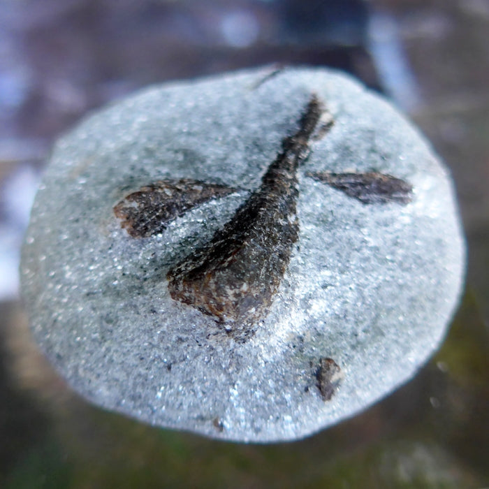 Small Double St. Andrew's Staurolite Cross