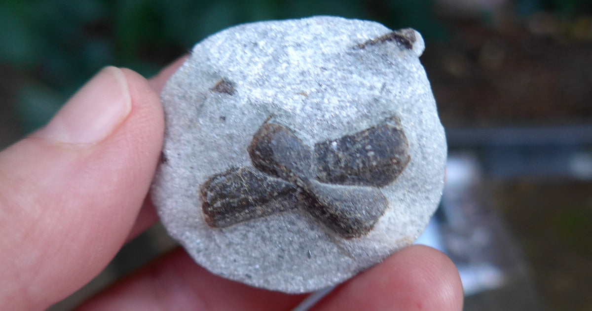 Small Double St. Andrew's Staurolite Cross