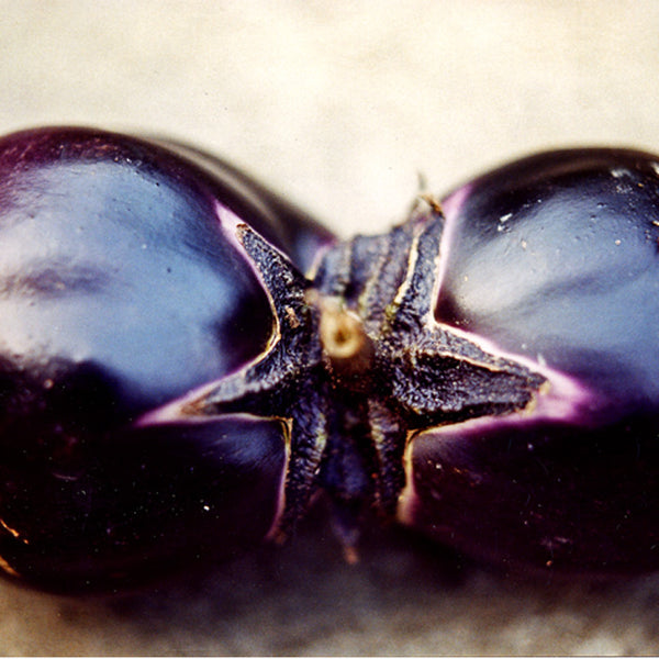 Eggplant