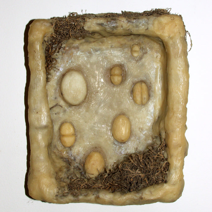 Spanish Moss Egg Box