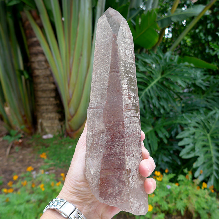 Large Smoky Lemurian Wand