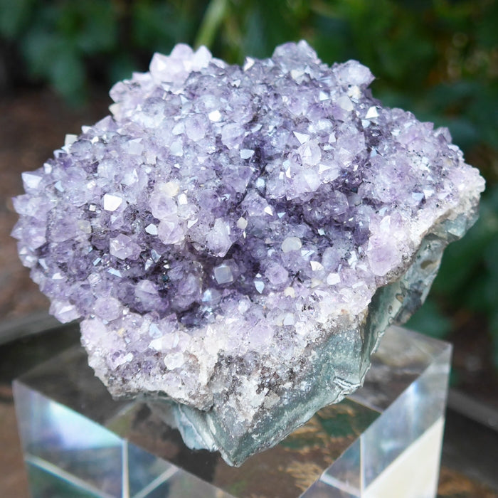 Large Luminous Druzy Amethyst Cluster