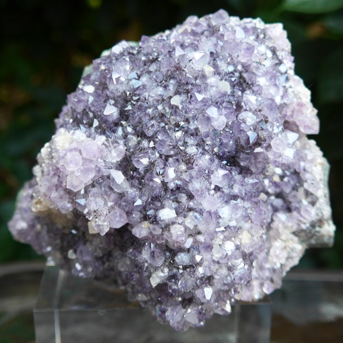 Large Luminous Druzy Amethyst Cluster