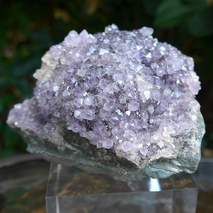 Large Luminous Druzy Amethyst Cluster