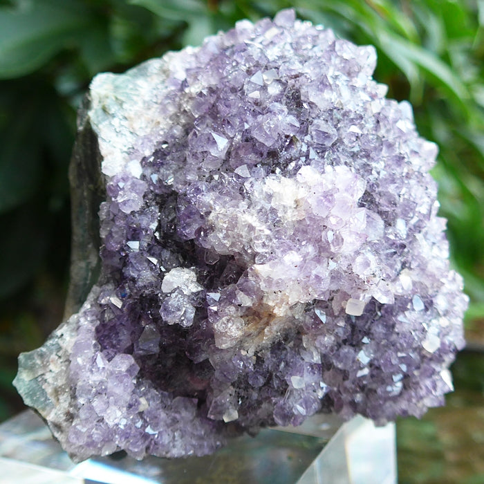 Large Luminous Druzy Amethyst Cluster