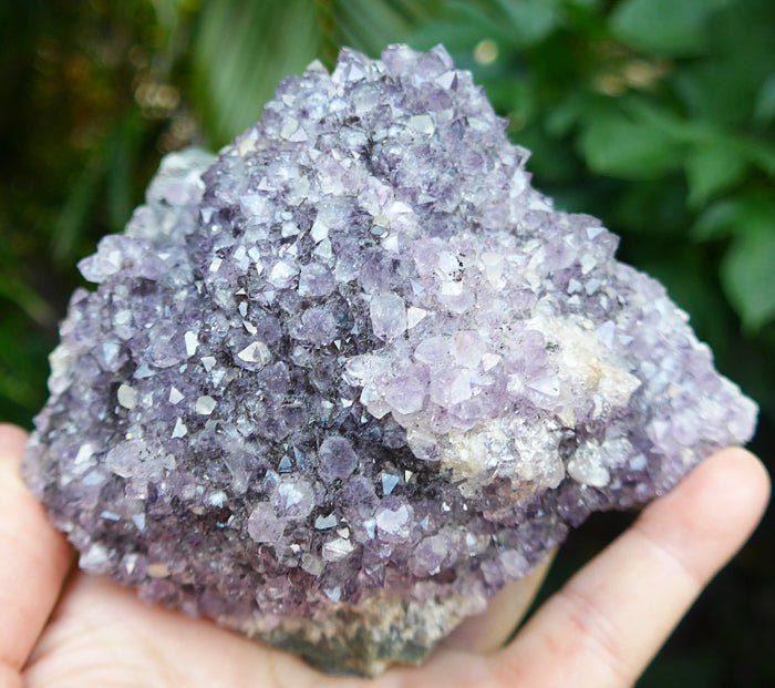 Large Luminous Druzy Amethyst Cluster