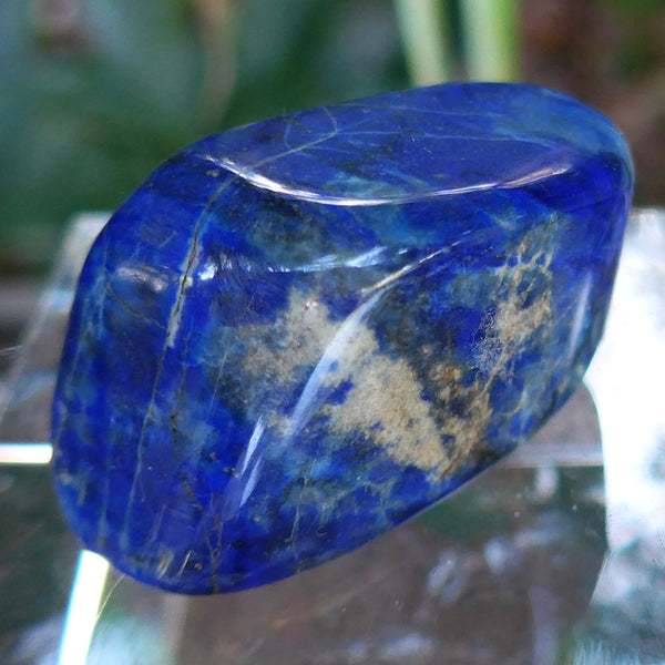 Lovely Polished Lapis Lozenge