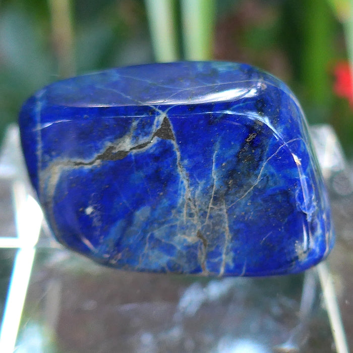 Lovely Polished Lapis Lozenge