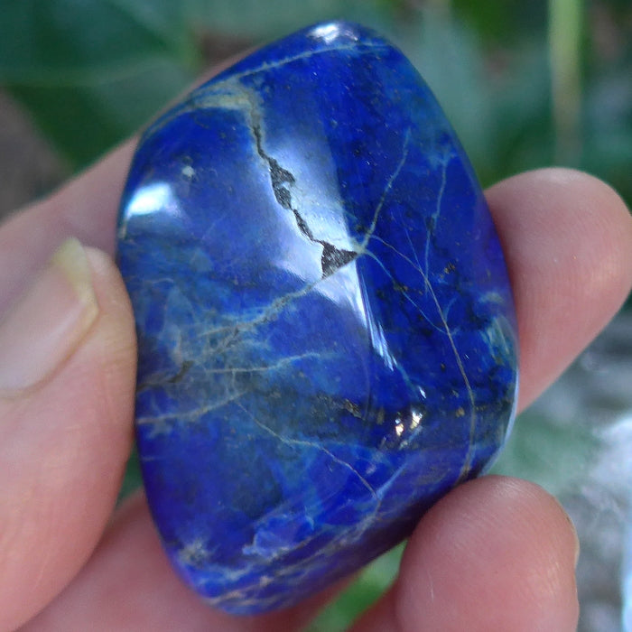 Lovely Polished Lapis Lozenge