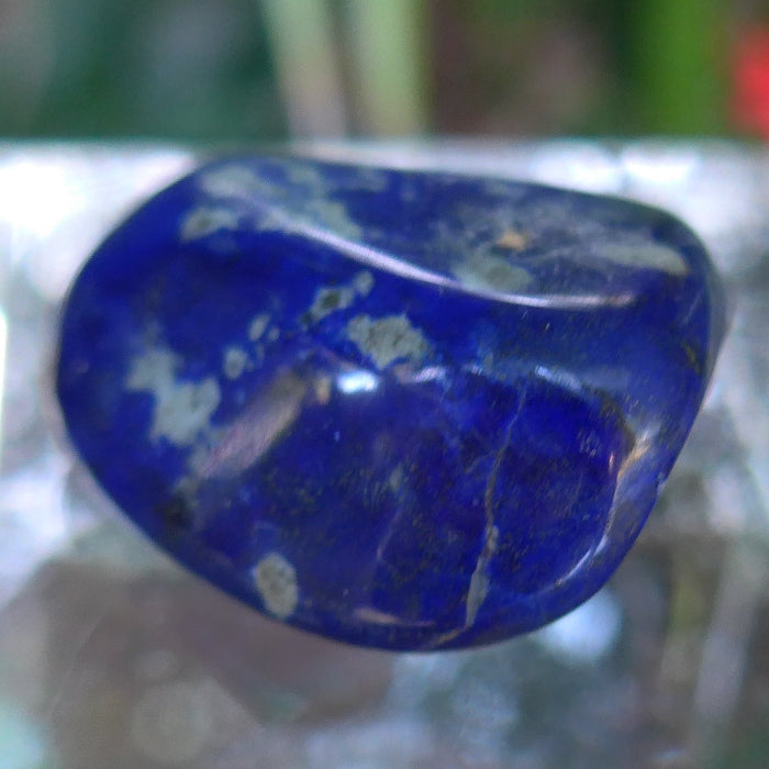 Medicine Bag Polished Lapis Nugget