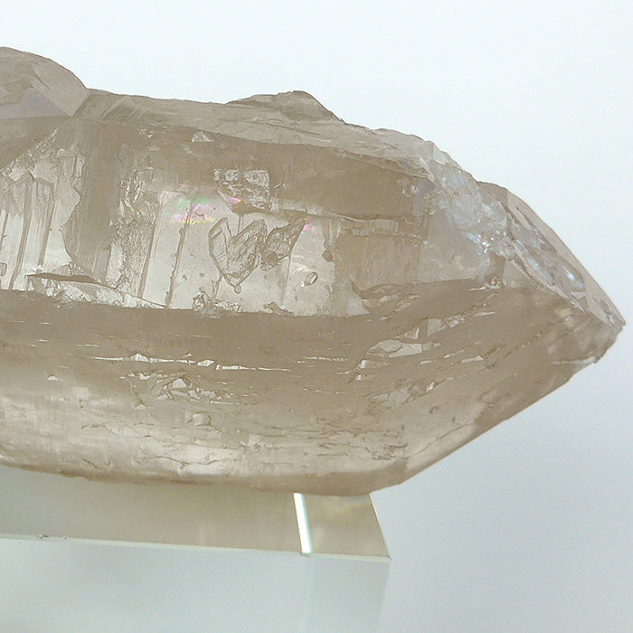 STEEP PRICE DROP: Champagne Citrine Druzy Elestial Cathedral with Rainbow