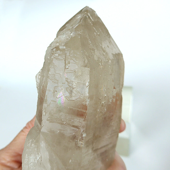 STEEP PRICE DROP: Champagne Citrine Druzy Elestial Cathedral with Rainbow