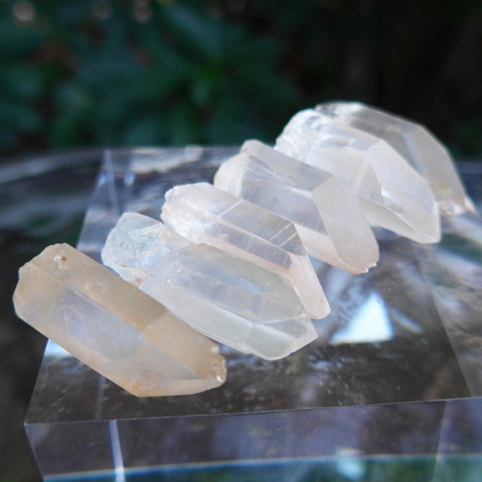 Short Wide Pink Lemurian Points