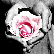 Distance Reiki Four Sessions