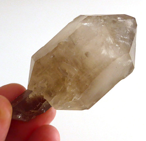 Pale Tipped Hallelujah Junction Smoky Scepter