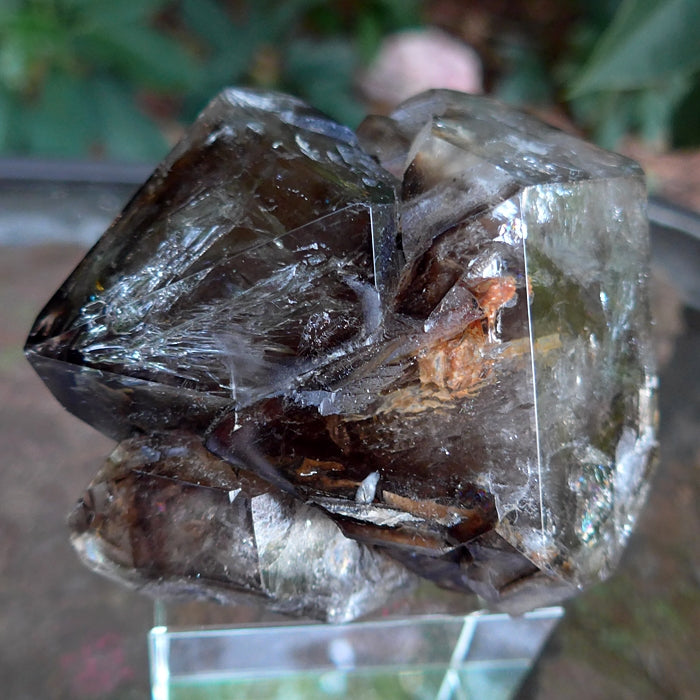 Smoky Skeletal Quartz Elestial Cluster