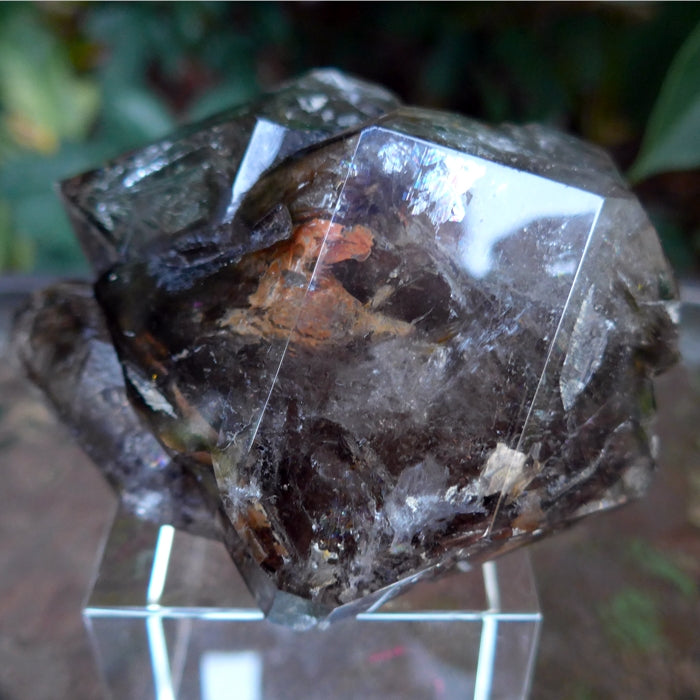 Smoky Skeletal Quartz Elestial Cluster